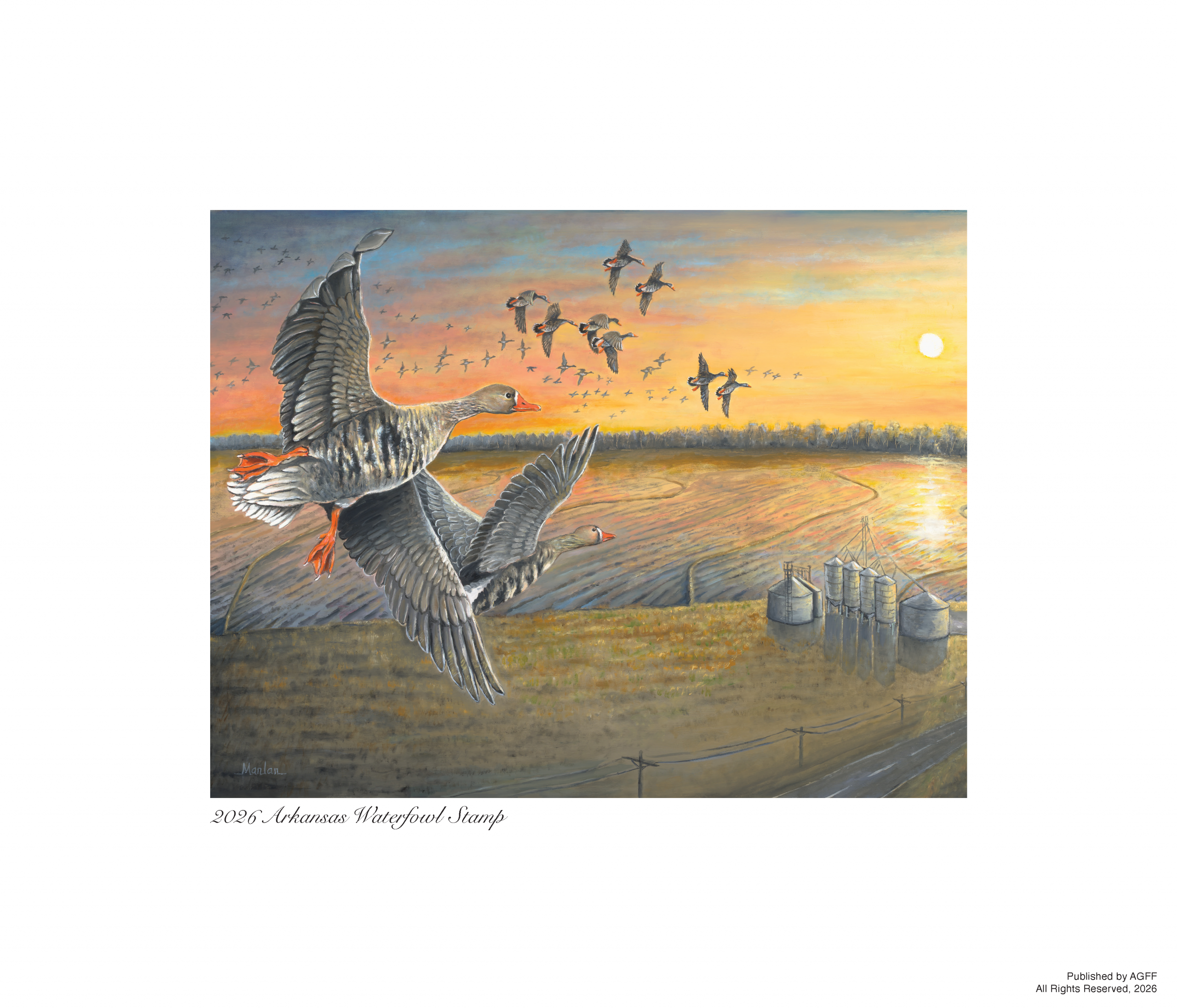 AGFF DUCK STAMP PROJECT